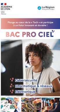 Bac Pro Ciel ENT.jpg