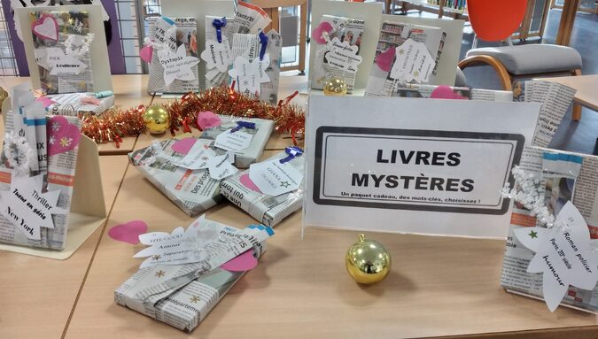 livres mystères 2025.jpg